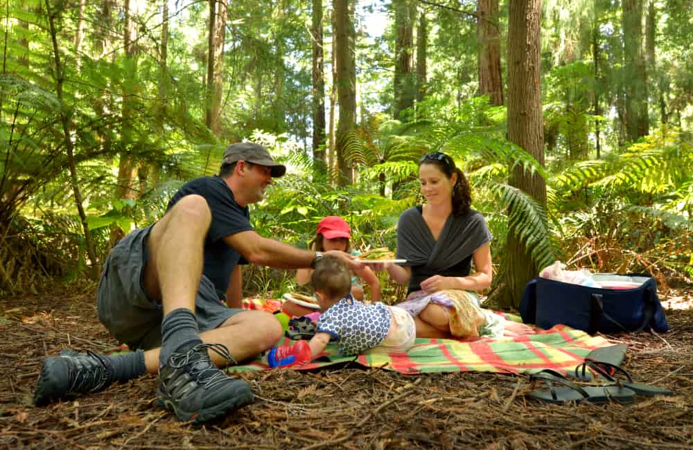 family picnic New Zealand