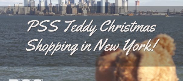 Teddy in New York