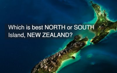 Where In New Zealand Should You Move To? – North or South Island?