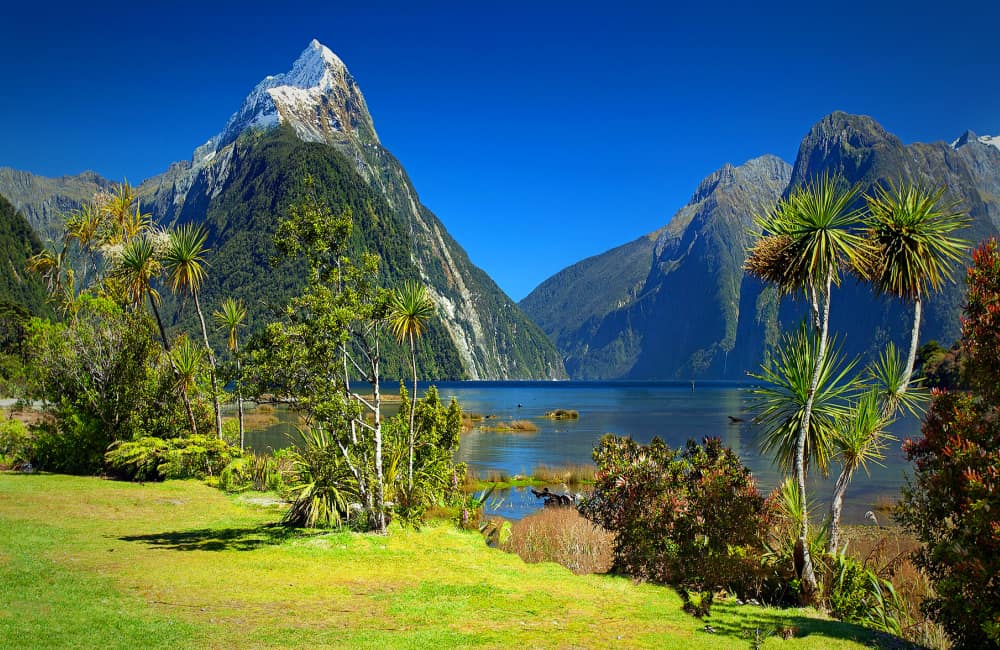 Mount Cook subtropical climate