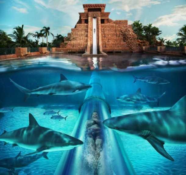 shark water slide Dubai