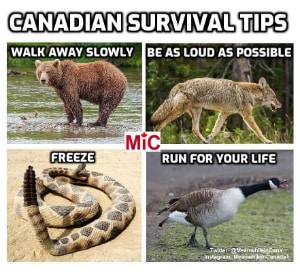 candadian survival tips