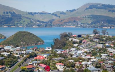 What house can you afford to buy in New Zealand?