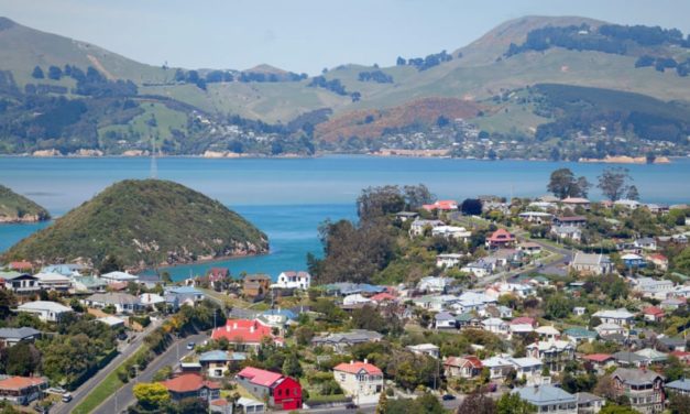 What house can you afford to buy in New Zealand?