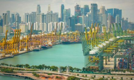 How much does shipping to Singapore cost in 2020?