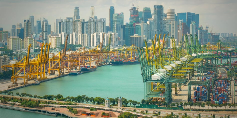 How much does shipping to Singapore cost in 2020?