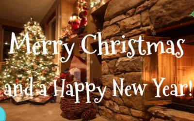 Merry Christmas and a Happy New Year from PSS!