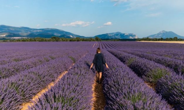 26 Great Reasons Why You Should Move to France