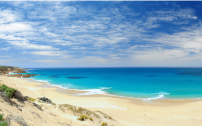 25 Great Reasons To Move To Adelaide And South Australia