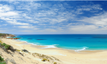 25 Great Reasons To Move To Adelaide And South Australia
