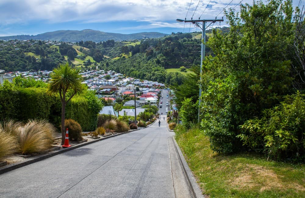New Zealand-Dunedin-history-steepest street-Baldwin Street-History-