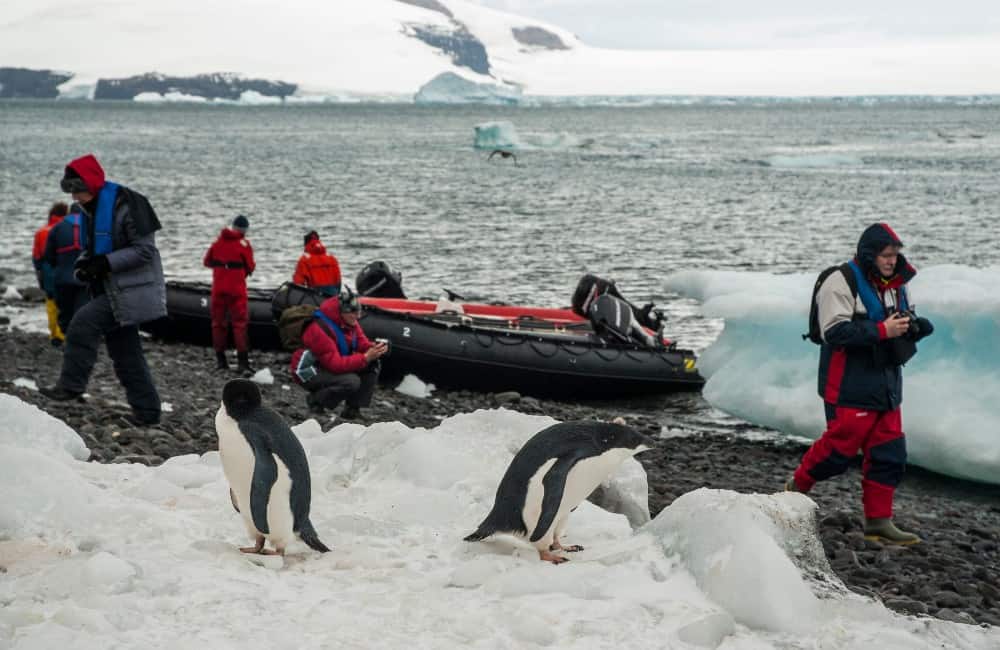 New Zealand to Antarctica-Exploration Cruise-Expedition Cruise