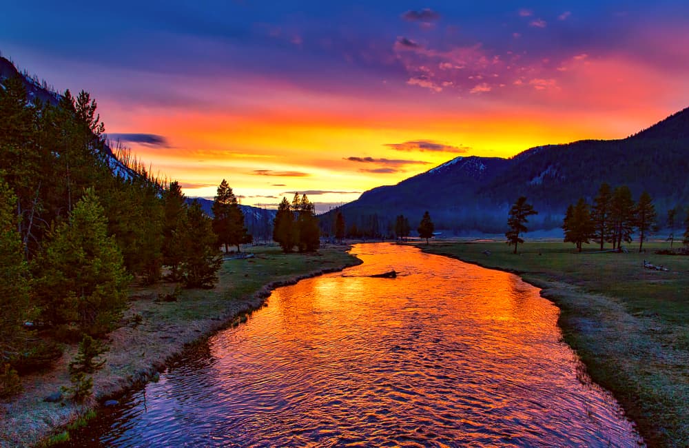 yellowstone-national-park-pros-and-cons-of-living-in-the-usa