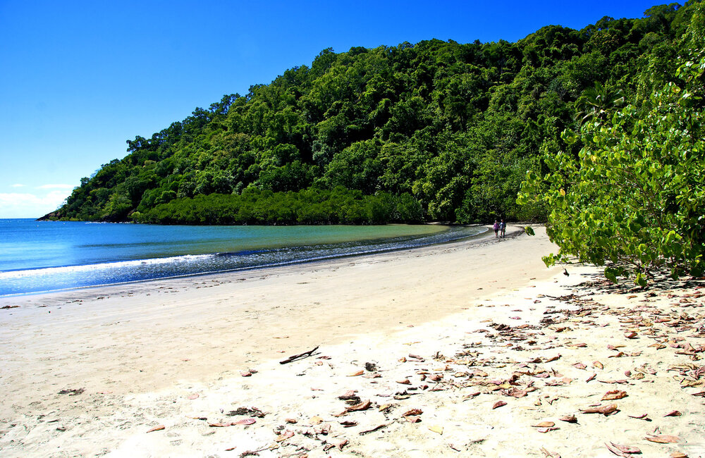 Great Reasons to move to Brisbane and Queensland Daintree National Park