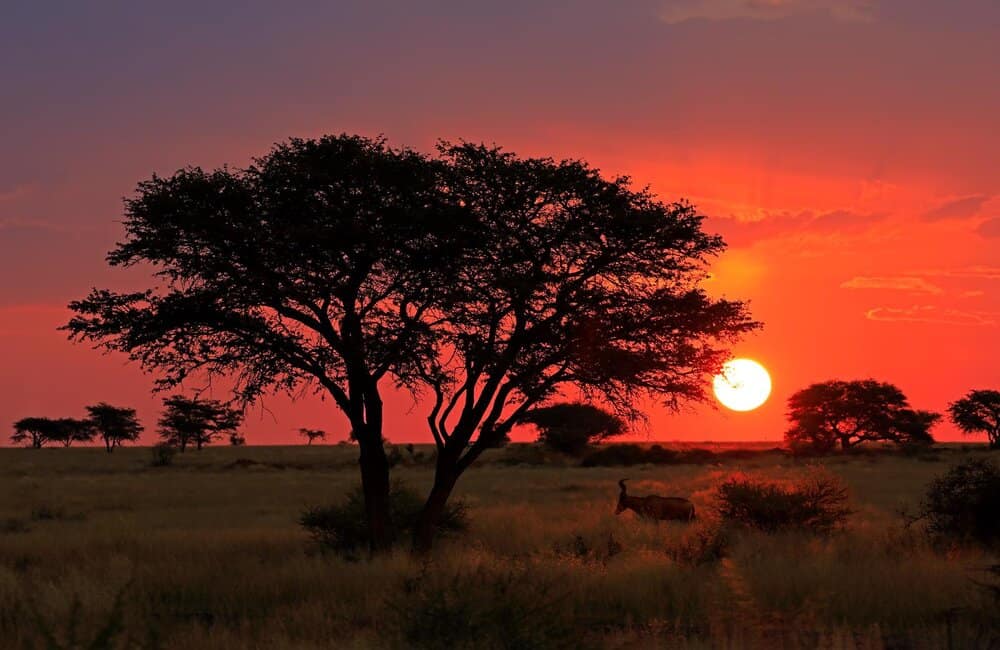 South Africa sunset'