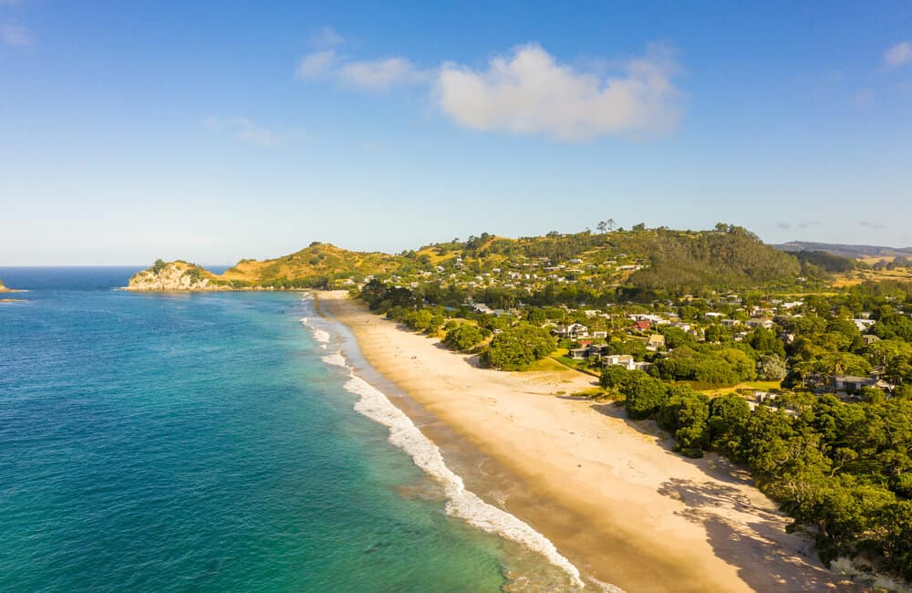 Great reasons to move to Wellington Hataitai Beach