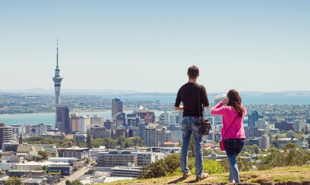 New Zealand’s Most Wanted: The most in demand jobs in New Zealand for 2023 revealed