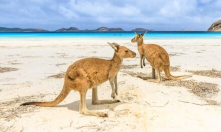 Best places to live in Australia as an expat in 2023