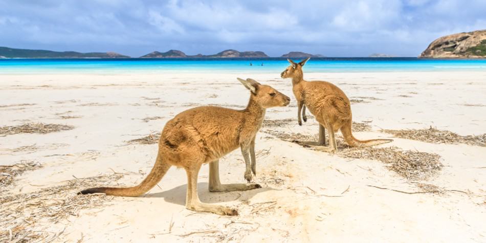 Best places to live in Australia as an expat in 2023
