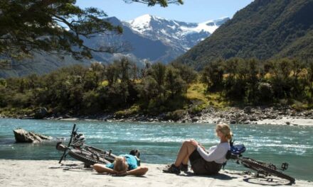 The best places to live in New Zealand according to people who have recently moved